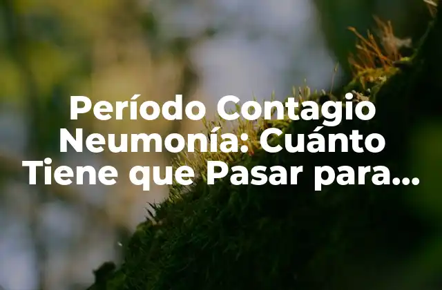 Período Contagio Neumonía: Cuánto Tiene que Pasar para No Ser Contagioso