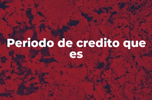 Periodo de Credito que es