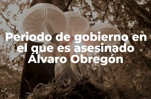 Periodo de Gobierno en el que es Asesinado Álvaro Obregón