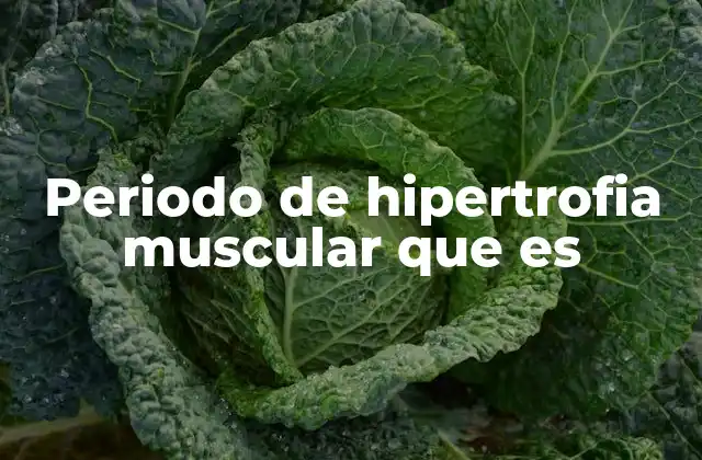 Periodo de Hipertrofia Muscular que es
