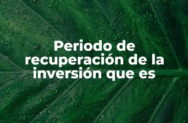 Periodo de Recuperación de la Inversión que es