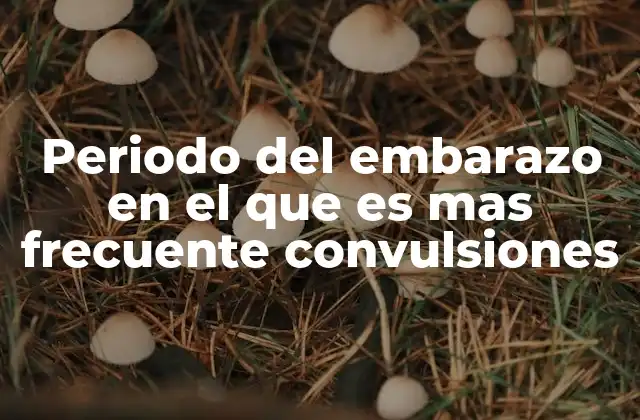 Periodo Del Embarazo en el que es mas Frecuente Convulsiones