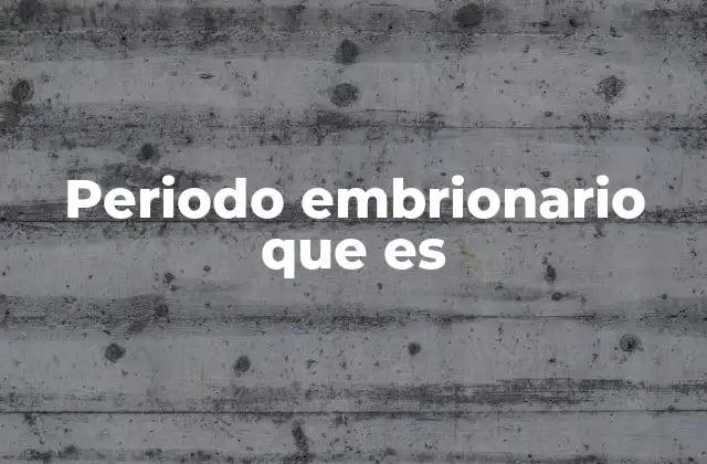 Periodo Embrionario que es