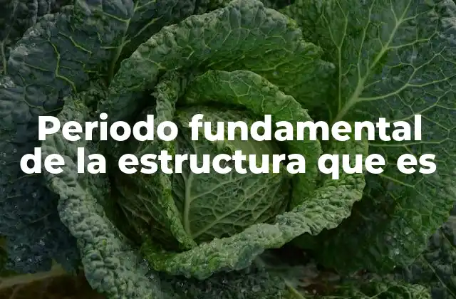 Periodo Fundamental de la Estructura que es