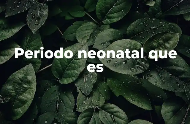 Periodo Neonatal que es