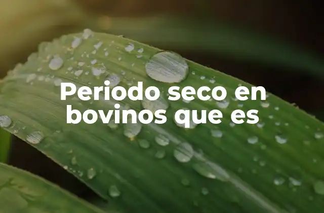Periodo Seco en Bovinos que es