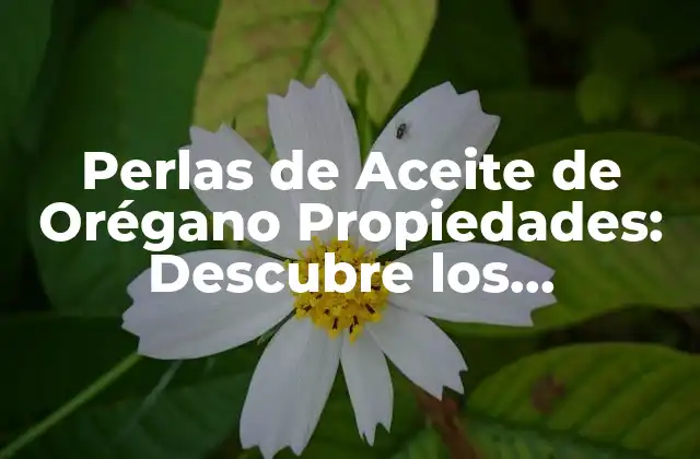 Perlas de Aceite de Orégano Propiedades: Descubre los Beneficios de Este Superalimento Natural
