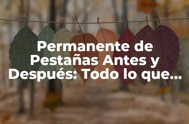 Permanente de Pestañas Antes y Después: Todo Lo que Necesitas Saber