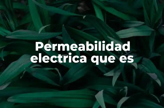 Importancia de la permeabilidad eléctrica en la física moderna