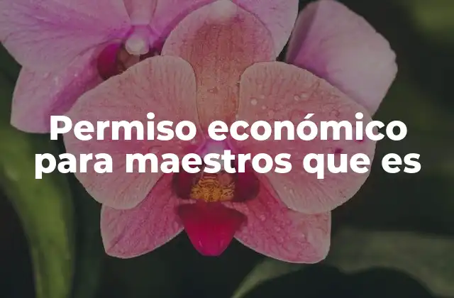 Permiso Económico para Maestros que es