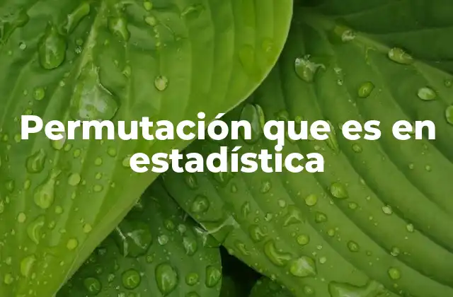 El papel de las permutaciones en la teoría de la probabilidad