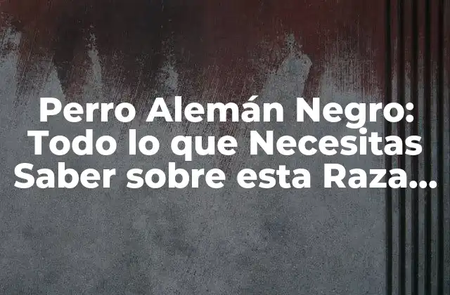 Perro Alemán Negro: Todo Lo que Necesitas Saber sobre Esta Raza Canina