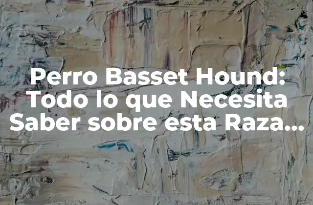 Perro Basset Hound: Todo Lo que Necesita Saber sobre Esta Raza de Perro