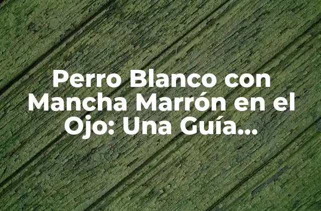 Perro Blanco con Mancha Marrón en el Ojo: una Guía Completa