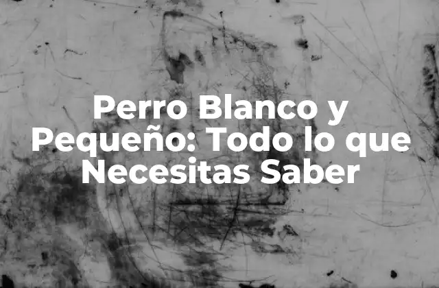 Perro Blanco y Pequeño: Todo Lo que Necesitas Saber 2 Características Físicas de los Perros Blancos y Pequeños