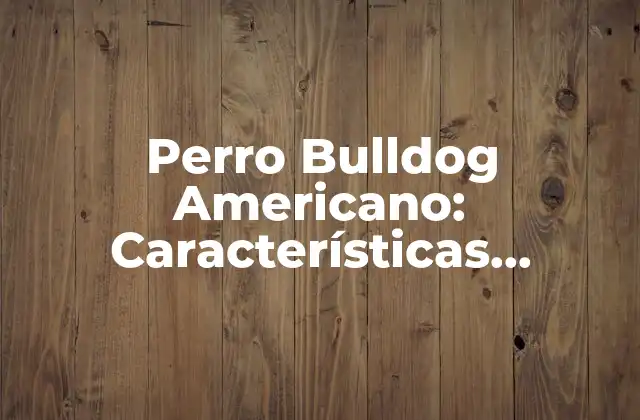 Perro Bulldog Americano: Características, Cuidado y Adiestramiento