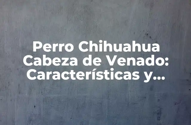 Perro Chihuahua Cabeza de Venado: Características y Cuidado