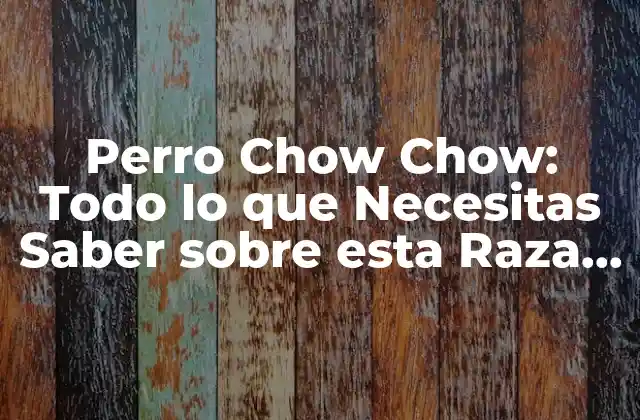 Perro Chow Chow: Todo Lo que Necesitas Saber sobre Esta Raza Canina