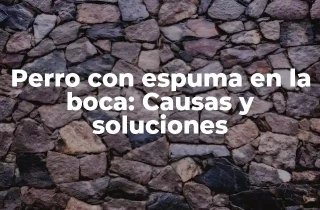 Perro con Espuma en la Boca: Causas y Soluciones
