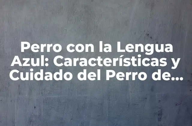 Perro con la Lengua Azul: Características y Cuidado Del Perro de Lengua Azul