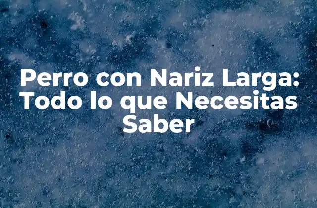 Perro con Nariz Larga: Todo Lo que Necesitas Saber