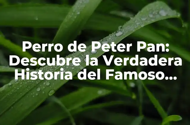 Perro de Peter Pan: Descubre la Verdadera Historia Del Famoso Nervedog