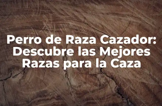 Perro de Raza Cazador: Descubre las Mejores Razas para la Caza