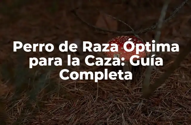 Perro de Raza Óptima para la Caza: Guía Completa