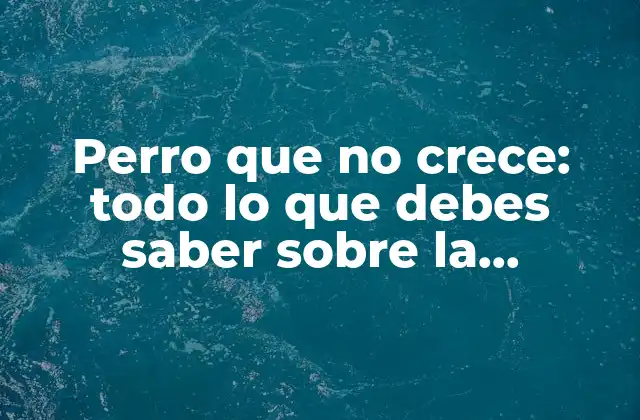 Perro que No Crece: Todo Lo que Debes Saber sobre la Dwarfismo en Perros