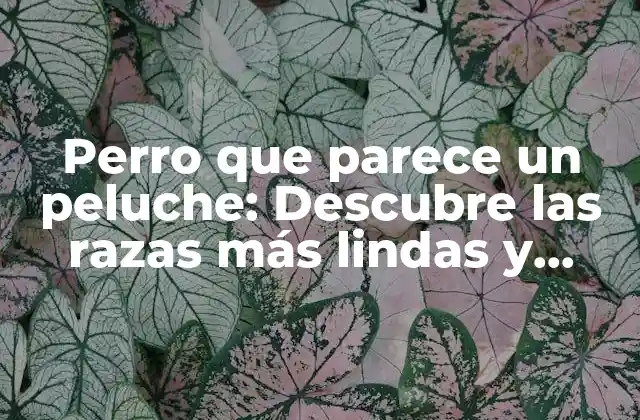 Perro que Parece un Peluche: Descubre las Razas Más Lindas y Dóciles