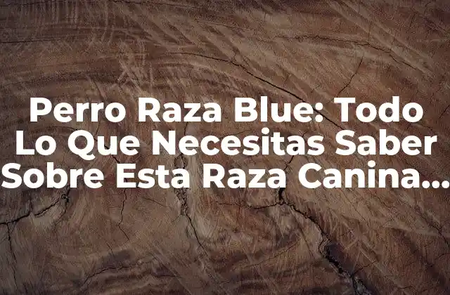 Perro Raza Blue: Todo Lo que Necesitas Saber sobre Esta Raza Canina Exótica