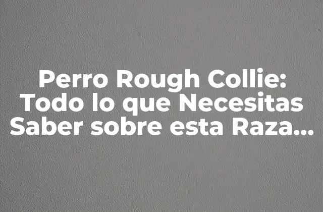 Orígenes y Historia de los Perros Rough Collie