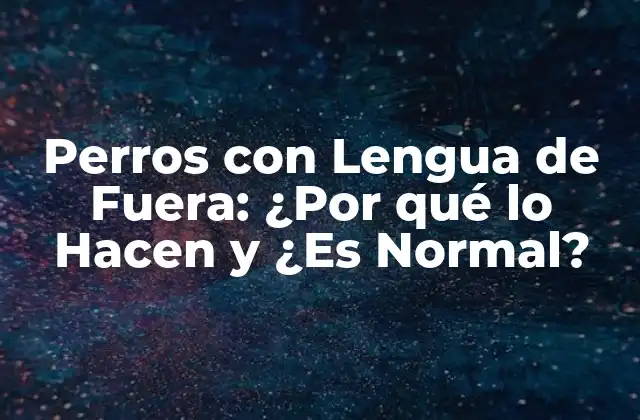 ¿Qué Causa que los Perros Saquen la Lengua?