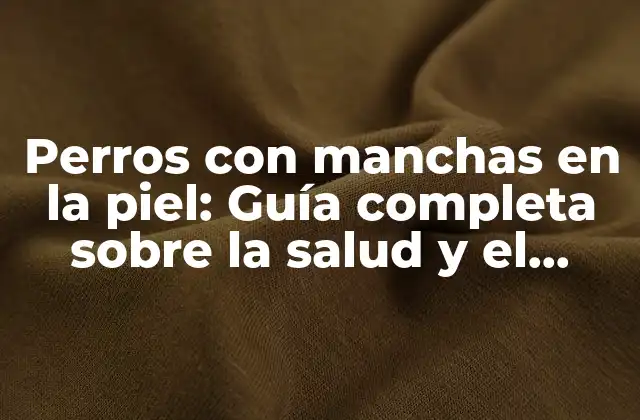 Perros con Manchas en la Piel: Guía Completa sobre la Salud y el Cuidado de Tu Mascota