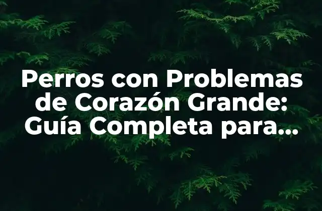 Perros con Problemas de Corazón Grande: Guía Completa para Dueños de Perros
