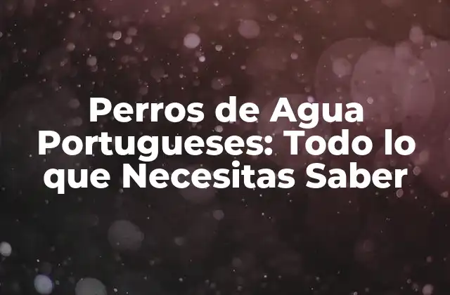Perros de Agua Portugueses: Todo Lo que Necesitas Saber