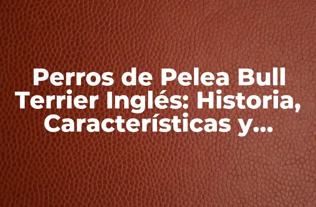 Perros de Pelea Bull Terrier Inglés: Historia, Características y Cuidado