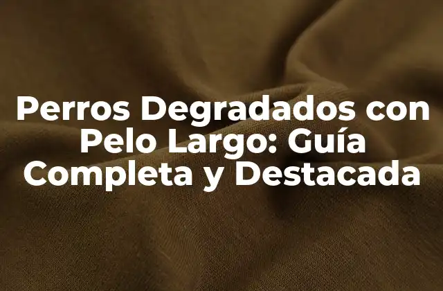 Perros Degradados con Pelo Largo: Guía Completa y Destacada