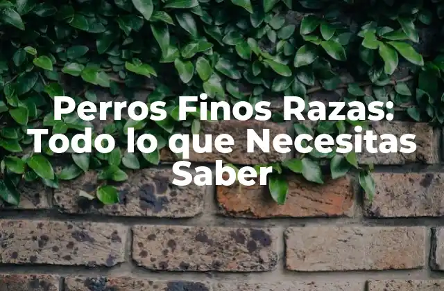 Perros Finos Razas: Todo Lo que Necesitas Saber