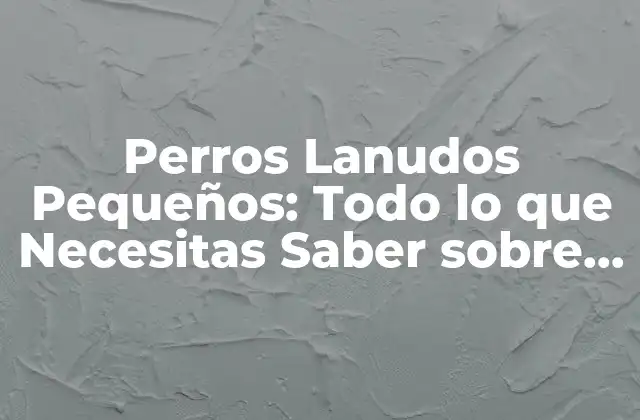Perros Lanudos Pequeños: Todo Lo que Necesitas Saber sobre Estas Mascotas Adorables