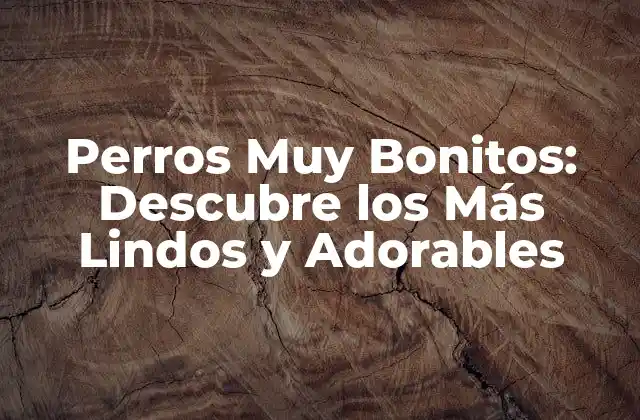 Perros Muy Bonitos: Descubre los Más Lindos y Adorables