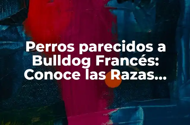 Perros Parecidos a Bulldog Francés: Conoce las Razas Caninas Similares