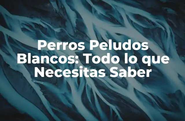 Perros Peludos Blancos: Todo Lo que Necesitas Saber 2 Orígenes y Historia de los Perros Peludos Blancos