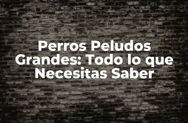 Perros Peludos Grandes: Todo Lo que Necesitas Saber