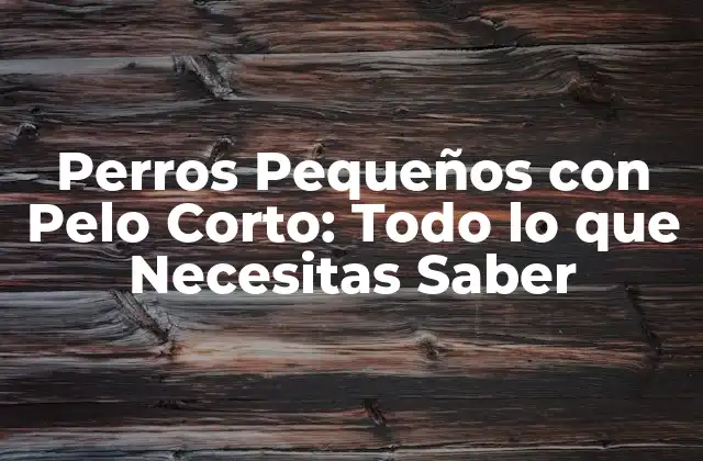 Perros Pequeños con Pelo Corto: Todo Lo que Necesitas Saber