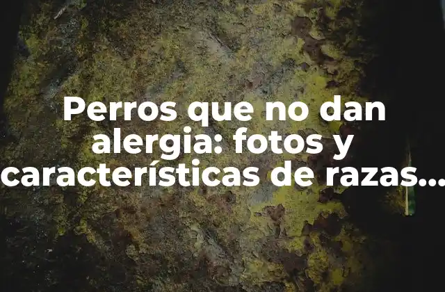 Perros que No Dan Alergia: Fotos y Características de Razas Hipalergénicas