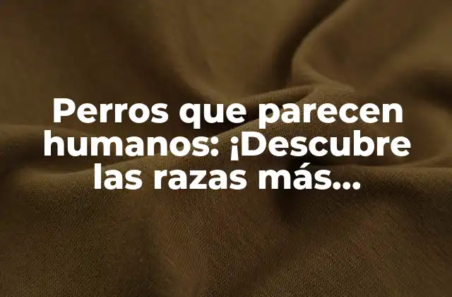 Perros que Parecen Humanos: ¡descubre las Razas Más Sorprendentes!
