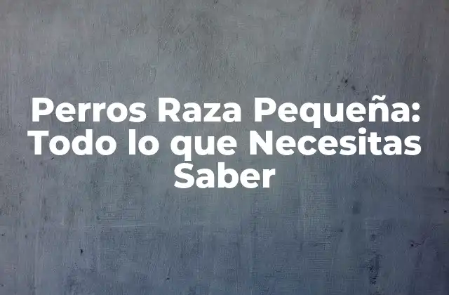 Perros Raza Pequeña: Todo Lo que Necesitas Saber