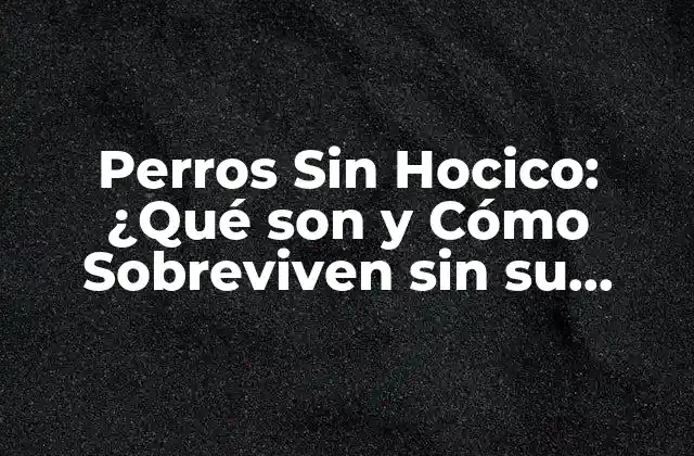 Perros sin Hocico: ¿qué Son y Cómo Sobreviven sin Su Nariz?