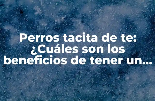 Perros Tacita de Te: ¿cuáles Son los Beneficios de Tener un Perro Tacita de Te como Mascota?